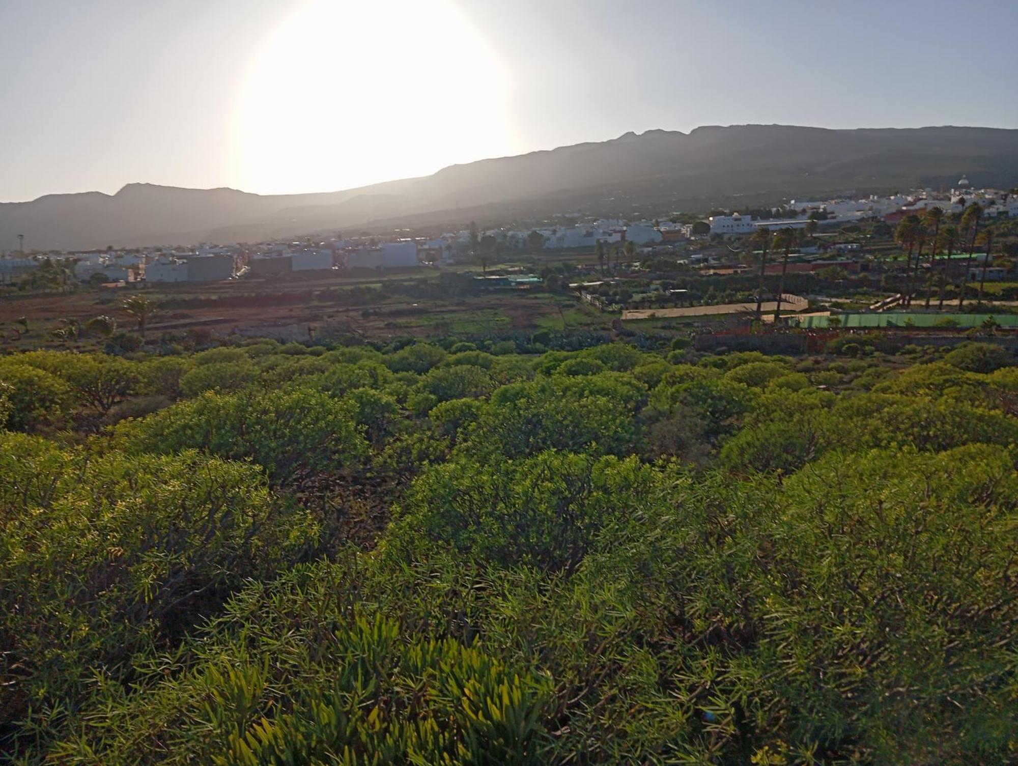 Casa Grande Finca El Calabres Агуимес Экстерьер фото